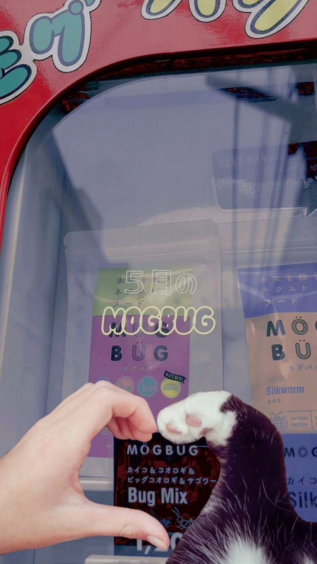 5月のMOGBUGです！🫶
はじめましてのアイテムが増えて楽しいですね！
もちろん、今後ご紹介していきます🫶
昆虫の可能性がどんどん広がって大変興味深いうえに
それらが自販機で手軽に入手できるなんて…
...................
⠀
#mogbug  #vendingmachine ⠀
 #昆虫食#昆虫食自販機 ⠀
#おもしろ自販機#こおろぎ⠀
#コオロギ#japanadventures⠀
#gastronomia#gastronomy⠀
#gastronogram#gastronomie ⠀
　#おやつ⠀#shinjuku #takadanobaba 
#おうちおやつ #fyp #tokyo