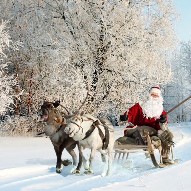 米サー冬の風物詩⛄️🎅🎄トナカイソーセージ
2本1,480円🦌🦌🦌
北海道でわずかに養殖されている
トナカイの希少なお肉を使った、贅沢な一皿。
クセはなく、ぎゅっと詰まった旨味✨
この季節しかお出ししていない特別な味、ぜひお試しください🎅🏻

🦌 The Taste of Winter in KometoCircus! 
Reindeer Sausage is Here! 🎅🎄 (2 pieces for ¥1,480) 
A luxurious and rare dish using reindeer meat, which is farmed in very limited quantities in Hokkaido. It has no gamey odor, just concentrated umami! ✨ 

━━━━━━━━━━━━━━━⠀
@kometocircusparco
📍東京都渋谷区宇田川町15-1 渋谷パルコB1⠀
🚃渋谷駅徒歩5分⠀
━━━━━━━━━━━━━━━⠀
📍B1, Shibuya Parco, 15-1 Udagawacho, Shibuya-ku, Tokyo
🚃 5 minutes walk from Shibuya station⠀
⏰⠀All days except Tuesday:⠀
12:00 - 16:00 ／17:00 - 22:30 ⠀
Tuesday:⠀17:00 - 22:30 ⠀
.................................
#米とサーカス
#トナカイ #渋谷PARCO 
#shibuya #クリスマス料理