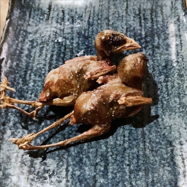 新宿歌舞伎町のキュートな映えグルメ「スズメの丸揚げ」∧( ‘Θ’ )∧
焼き鳥のおいしいところ全部が
ぎゅぎゅぎゅっと凝縮された、
生命を感じる１羽です🐥

1羽500円
頭からどうぞ！

🏮新宿歌舞伎町 思い出の抜け道【寺子屋】
@terakoya_shinjuku
———————————————————
予約は平日12:00-24:00まで上限4名様
新宿区歌舞伎町1-3−10 新宿センター街 1F
OPEN 24 hours
Reservations：
Weekdays 12:00–24:00 / Max 4 people
———————————————————
🏮Shinjuku Kabukicho, OMOIDE NO NUKEMICHI【TERAKOYA】

Cute and Reflective Gourmet “Sparrow Maruage” ∧( 'Θ')∧ in Shinjuku Kabukicho
All the delicious parts of yakitori
All the tasty parts of yakitori are concentrated in this dish,
It is a bird that you can feel the life of🐥

500 yen per bird!
Start with the head!

#寺子屋
#思い出の抜け道
#kabukicho
#ShinjukuBar
#歌舞伎町飲み屋