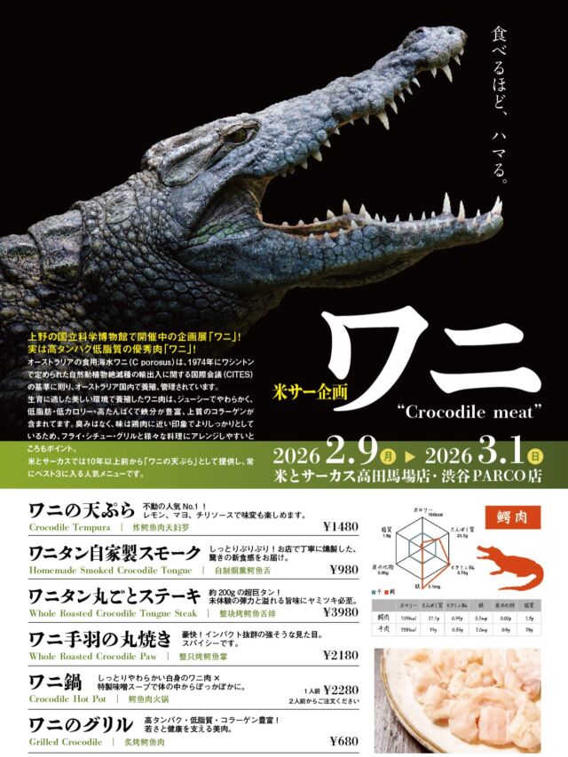 米サー企画【ワニ祭り】🐊
〜食べるほど、ハマる。〜

上野の国立科学博物館で開催中の「ワニ展」🐊✨
実は高タンパク低脂質の優秀肉「ワニ」🐊💕

「ワニ手羽の丸揚げ」はインパクト絶大💥 
ぷりぷり食感の「ワニの天ぷら」や、
おつまみに最適な「ワニタンスモーク」も大人気です。

淡白で鶏肉のような味わいのワニは、
実は高タンパク・低カロリーでコラーゲンも豊富！
「ワニ展」鑑賞後に、米とサーカスで「ワニ肉」体験🐊

Kome to Circus presents: [Crocodile Festival] 🐊 
— The more you eat, the more you’ll be hooked. —
Inspired by the "Crocodile Exhibition" at the National Museum of Nature and Science in Ueno! 🐊✨ 
Did you know crocodile meat is a "superfood"—high in protein and low in fat? 🐊💕

💥 Deep-fried Whole Crocodile Paw: Incredible impact and visual! 
🍤 Crocodile Tempura: A crowd favorite with a juicy, bouncy texture. 
💨 Smoked Crocodile Tongue: The perfect snack to pair with your drinks.
Come and taste the wild side!
━━━━━━━━━━━━━━━⠀
@kometocircusparco
📍東京都渋谷区宇田川町15-1 渋谷パルコB1⠀
🚃渋谷駅徒歩5分⠀
━━━━━━━━━━━━━━━⠀
📍B1, Shibuya Parco, 15-1 Udagawacho, Shibuya-ku, Tokyo
🚃 5 minutes walk from Shibuya station⠀
⏰⠀12:00 - 16:00 ／17:00 - 22:30 ⠀
━━━━━━━━━━━━━━━
#米とサーカス
#ワニ展
#ワニ肉
#shibuya  
#渋谷parco