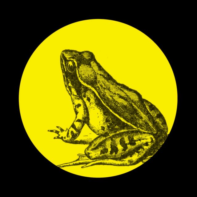 新宿歌舞伎町の人気珍グルメ「カエルの丸焼き」🐸
セージ・タイム・ローズマリーなどの香草で
マリネして丸焼きにしました。

１匹2500円也
ぜひお試しあれ🐸🍴

🏮新宿歌舞伎町 思い出の抜け道【寺子屋】
@terakoya_shinjuku
———————————————————
予約は1日4名様まで・19:00〜20:30までの入店のみ
新宿区歌舞伎町1-3−10 新宿センター街 1F
OPEN 24 hours
Reservations are limited to 4 persons per day 
and entry from 19:00 to 20:30
———————————————————
🏮Shinjuku Kabukicho, OMOIDE NO NUKEMICHI【TERAKOYA】

The most advanced gourmet food in Shinjuku's Kabukicho district: grilled whole frogs 🐸.
Marinated with sage, thyme, rosemary and other herbs and roasted whole.

2,500 yen per frog.
Try it!

#寺子屋
#思い出の抜け道
#歌舞伎町グルメ
#カエル肉
#カエル料理