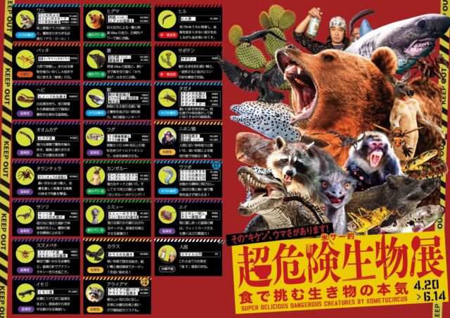 【今日からスタート】米サー的⚠️超危険生物展⚡️
 〜食で挑む生き物の本気〜
Kome to Circus presents: Super Dangerous Creatures Fair ⚠️⚡️
~Taste the raw power of wildlife~

上野の国立科学博物館で開催中、#超危険生物展
The #SuperDangerousCreaturesExhibition is now on at the Ueno Museum! 🏛️
米サースタッフも初日に参戦し、その生命のパワーに痺れました……💘
Our staff visited on day one and were absolutely electrified by the power of these species... 💘
「でも、見るだけじゃなくて食べたい！」
"But we don't just want to watch—we want to EAT them!"

4月20日（月）より、
米サー厳選の『超危険生物メニューフェア』スタート！
Starting April 20 (Mon), we are launching our own 
“Super Dangerous Creatures Menu Fair”!

⚠️ LINEUP ⚠️ 
ワニ / ヒグマ / ヒメハブ / イノシシ / サメ / カンガルー / エミュー / アライグマ / サル / フグ / カラス / エイ / ムカデ / タランチュラ / サソリ / オオスズメバチ / イモリ / トノサマバッタ / サボテン / ヒル / ウツボ / タガメ ……そして、人間！？
Crocodile / Brown Bear / Pit Viper / Wild Boar / Shark / Kangaroo / Emu / Raccoon / Monkey / Fugu / Crow / Stingray / Centipede / Tarantula / Scorpion / Giant Hornet / Newt / Migratory Locust / Cactus / Leech / Moray Eel / Giant Water Bug ... and Human!?
━━━━━━━━━━━━━━━⠀
@kometocircusparco
📍東京都渋谷区宇田川町15-1 渋谷パルコB1⠀
🚃渋谷駅徒歩5分⠀
📍B1, Shibuya Parco, 15-1 Udagawacho, Shibuya-ku, Tokyo
🚃 5 minutes walk from Shibuya station⠀
⏰⠀12:00 - 16:00 ／17:00 - 22:30 ⠀
━━━━━━━━━━━━━━━
#米とサーカス
#超危険生物展
#渋谷parco
危険生物
shibuyafood