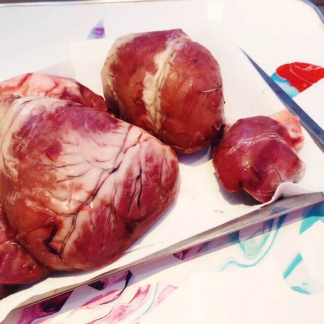 〈熊肉入荷中🐻〉心臓も！
山の恵みをあますところなくいただきます

🥩熊の塩焼き
🥘熊鍋
❤️‍🔥熊の心臓 塩焼き
🍅くまトマハンバーグ
❤️‍🔥熊の心臓 丸焼き（要予約）

害獣被害の報道が続いていますが、
米とサーカスでは2011年の開店当初より変わらず
駆除された熊肉を仕入れ、
責任をもって提供しています。

入荷不定期な希少食材が多いため、
ご来店の際は事前にお問い合わせいただくか、
ネット予約の備考欄に「〇〇希望」とご記入ください。
※予約のタイミングにより欠品となる場合がございますm(_ _)m
━━━━━━━━━━━━━━━⠀
@kometocircus 
📍東京都新宿区2-19-8
🚃高田馬場駅徒歩1分
平日・土日祝日　12-15:00 ／16-22:30 
.................................
#米とサーカス
#高田馬場
#熊肉
#熊料理
#高田馬場グルメ