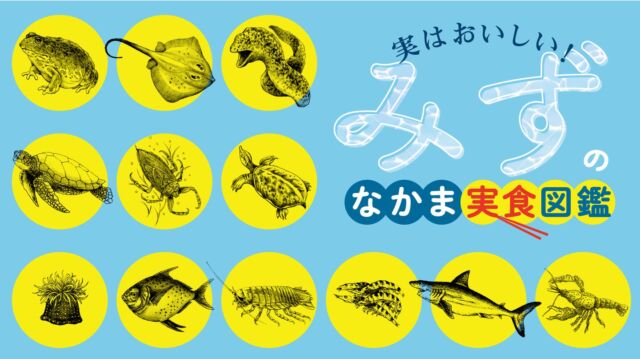 いよいよ今週6/6（金）スタート
ラインナップ出揃いました🦈🐠🐸🦐🐢
全部わかりますか？？

「実はおいしい！みずのなかま実食図鑑😋」
高田馬場店限定で開幕！🌊
🔥🐸目玉は、初入荷「ウシガエル」 🐸🔥

⚠️ 注意点⚠️
今回のフェアは 【米とサーカス 高田馬場店】限定 での開催となります。
渋谷PARCO店では販売いたしませんので、お間違えのないようお気をつけください…！🙏

━━━━━━━━━━━━━━━⠀
@kometocircus 
📍東京都新宿区2-19-8
🚃高田馬場駅徒歩1分
平日・土日祝日　12-15:00 ／16-22:30 
※火曜のみ　17-22:30 
.................................
#米とサーカス
#高田馬場
#高田馬場グルメ
#カエル
#カエル料理