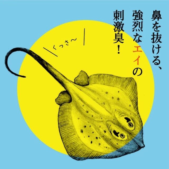 世界2位の激臭料理！？今年初入荷「ホンオフェ」がやってきた！🐟💥
米とサーカス夏の特別企画 
「実はおいしい！みずのなかま実食図鑑🥢」

一生に一回は食べてみたい……💘
韓国の伝統的な郷土料理「ホンオフェ」が今年初入荷しました！

鼻を突き抜ける、強烈なエイの発酵刺激臭……！
シャープなアンモニア臭の向こう側にある、
独特の強烈な旨味は一度ハマるとクセになる唯一無二の味わいです。
「我こそは！」というチャレンジャーの皆様をお待ちしています🔥

📅7月末までの限定ご提供！ 

⚠️ 【米とサーカス 高田馬場店】限定 での開催です。

━━━━━━━━━━━━━━━⠀
@kometocircus 
📍東京都新宿区2-19-8
🚃高田馬場駅徒歩1分
平日・土日祝日　12-15:00 ／16-22:30 
※火曜のみ　17-22:30 

#米とサーカス 
#ホンオフェ
#実はおいしいみずのなかま実食図鑑
#高田馬場
#高田馬場グルメ
