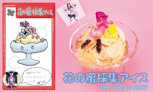 🌸花譜×米とサーカス 未確認な味覚ッ！！🌸
コラボメニューのご紹介👀
🌸KAF × Kome to Circus "Unidentified Flavors!!"🌸 Collab Menu 👀

【花の蜜採集アイス】
濃密な甘さの巣蜜(コムハニー)に、
香ばしくカラメリゼしたハチとグレナデンシロップを添えたスペシャルアイス。
[Flower Nectar Ice Cream] 
Rich honeycomb ice cream with caramelized bees and grenadine syrup.

❣️花譜さんコメント❣️
凝縮された甘み...のどがポカポカしてくるね
❣️KAF's comment❣️ 
"So much sweetness... it warms my throat."

💡米とサーカスのこだわりポイント💡
「花の蜜採集計画」から着想した、花と甘さを楽しむデザート。
当初はかき氷を予定していましたが、花譜さんが好きなアイスクリームへと変更し、
よりデザートとしての満足感を高めました。
シロップには、数あるグレナデンシロップの中から、
あえて昆虫由来の鮮やかな赤・コチニール色素を使用したものを選択。
「昆虫」という米とサーカスらしい要素をさりげなく取り入れています。
さらに、ハチはそのままでは食べづらいため、カラメリゼすることで香ばしくパリッとした食感に。
「花から蜜を集めるハチ」を、食べられる形で可憐な一皿に閉じ込めました。
💡Our special touches💡
Inspired by "花の蜜採集計画," a dessert of flowers and sweetness. 
We first planned shaved ice, but changed to ice cream, KAF's favorite. 
Our grenadine is colored with cochineal, a red dye made from insects — a classic Kome to Circus touch. 
The bees are caramelized for a crispy, toasty bite. 
"Bees gathering nectar," served on one pretty plate.

🗓 ご予約・空席確認は
🗓 Reservations & availability
https://asia-tokyo-world.com/kafcollaboration/

📍米とサーカス渋谷PARCO店
❤︎・❤︎・❤︎ご予約受付中❤︎・❤︎・❤︎
10月18日（日）〜 11月30日（月）

❤︎ Reservations open ❤︎ 
Oct 18 (Sun) – Nov 30 (Mon)
━━━━━━━━━━━━━━━⠀
@kometocircusparco
📍東京都渋谷区宇田川町15-1 渋谷パルコB1⠀
🚃渋谷駅徒歩5分⠀
📍B1, Shibuya Parco, 15-1 Udagawacho, Shibuya-ku, Tokyo
🚃 5 minutes walk from Shibuya station⠀
⏰⠀12:00 - 16:00 ／17:00 - 22:30 ⠀
━━━━━━━━━━━━━━━
#米とサーカス
#花譜
#渋谷PARCO
#KAF 
#shibuyaparco